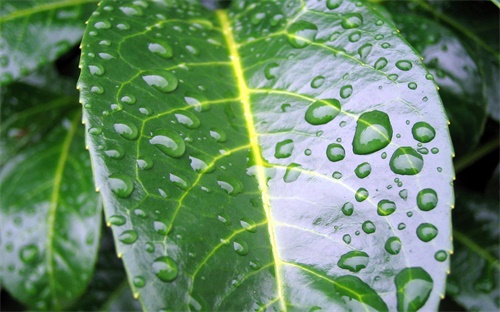 装载机干电瓶充电多久，装载机电瓶充多长时间最好 现在充3个小时了 准备在充一夜可以吗 对