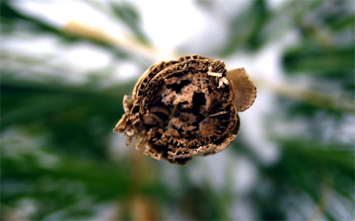 装载机扭矩多少正常的啊，关于装载机问题发动机转速是不是越低越省油
