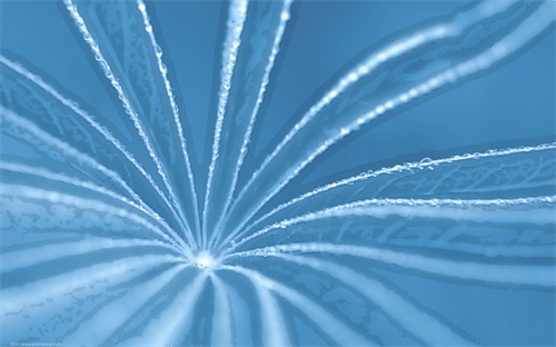 云南买卖装载机有哪些，龙工50装载机云南在哪里买