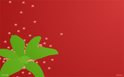装载机倒车摄像头,倒车辅助设备可单独安装或装置在车顶