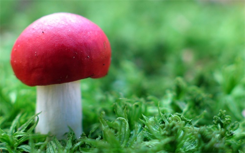 装载机正常开多少时间，铲车正常启动时间是多长为什么铲车的启动时间比起汽车要长很多